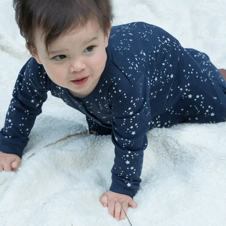 Little Green Radicals - Nico