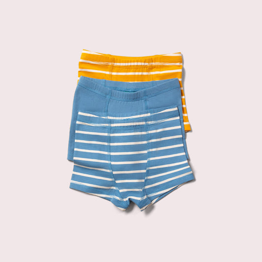 Blue Organic Underwear Shorts Set – 3 Pack