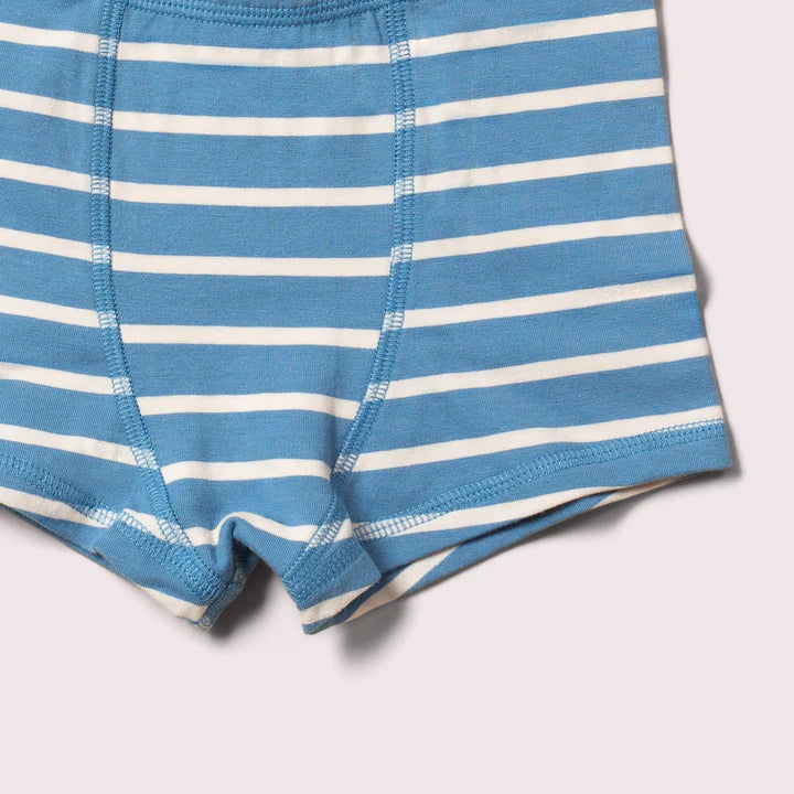Blue Organic Underwear Shorts Set – 3 Pack