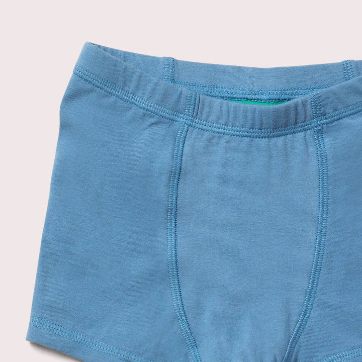 Blue Organic Underwear Shorts Set – 3 Pack