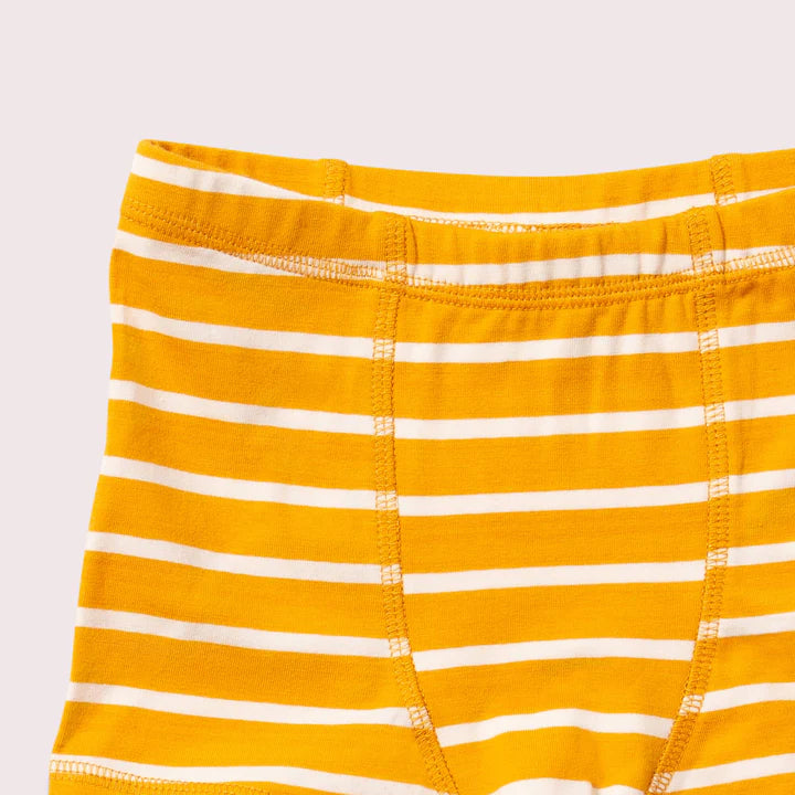 Blue Organic Underwear Shorts Set – 3 Pack