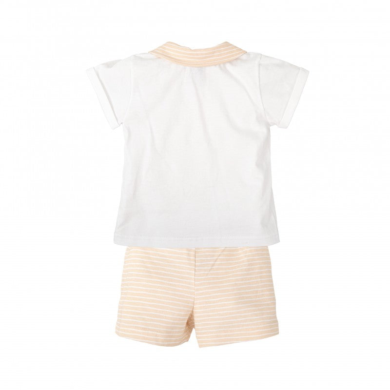 Aura Boys 100% Cotton Knitted T-Shirt & Shorts Set – (2–4 Years)