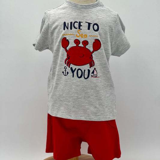 Nice To Sea You Set - Nico