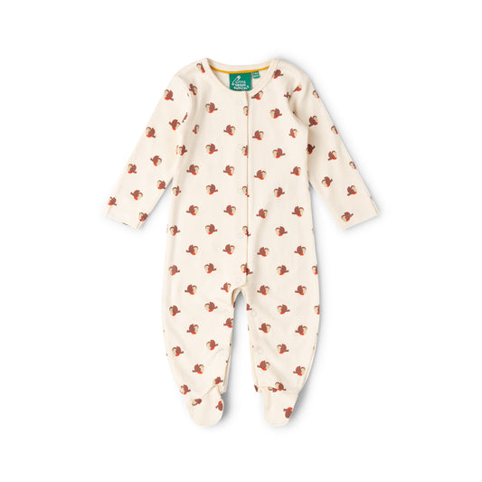 Little Robin Organic Babygrow (Newborn to Infant)