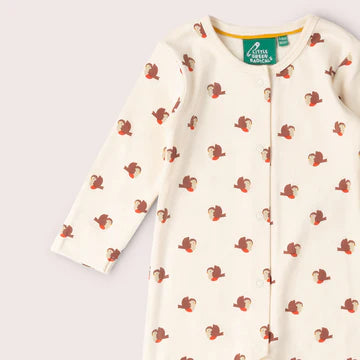 Little Robin Organic Babygrow (Newborn to Infant)